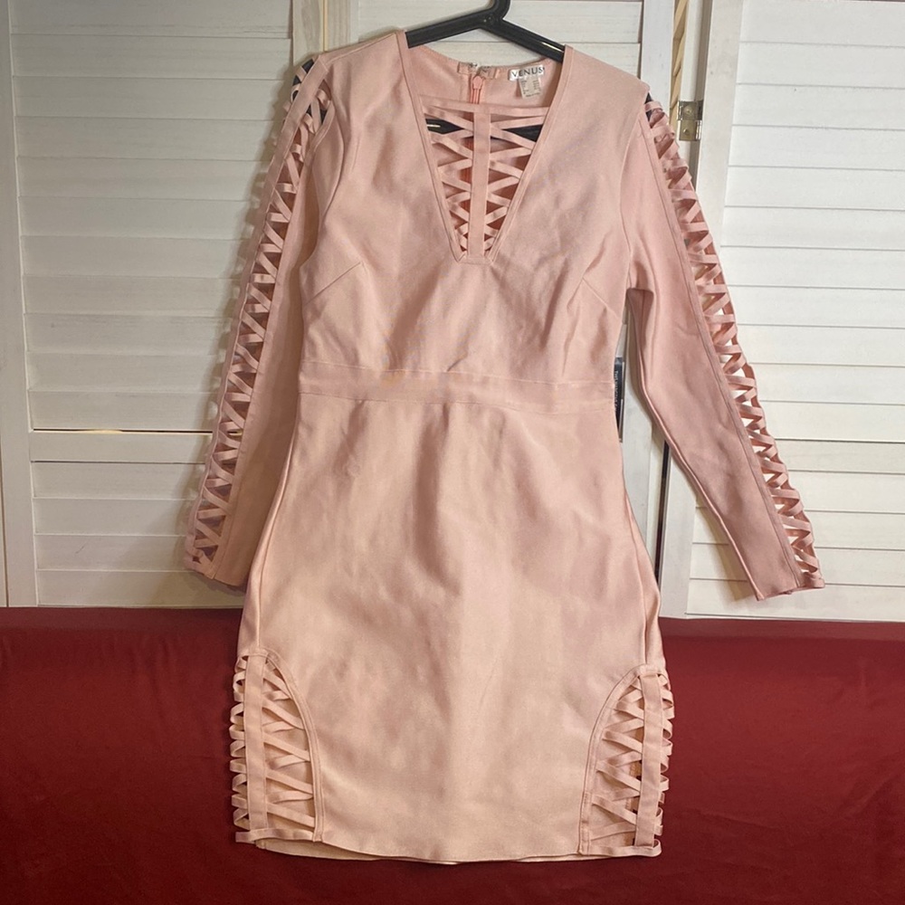 Venus Pink Long Sleeve Dress